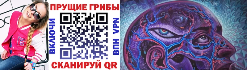 Галлюциногенные грибы Magic Shrooms  Купить закладки  Долинск 